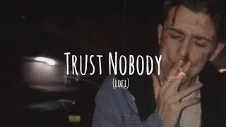 Trust Nobody - Shiloh Dynasty (lofi) // (Vietsub + Lyrics)