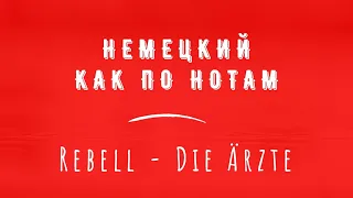 Перевод песни Rebell - Die Ärzte