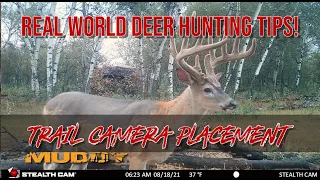Trail Camera Placement