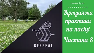 Пасіка BeeReaL. Частина 8. Віртуальна практика на пасіці.