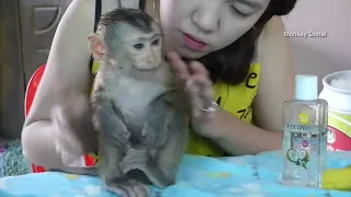 The Disturbing Reality of "Baby Monkey" Channels