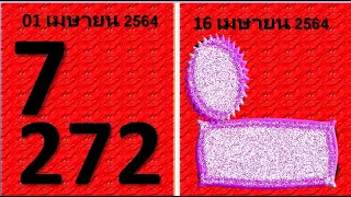 16 พฤษภาคม 2564 เคล็ดลับผู้โชคดีเลขเด็ด