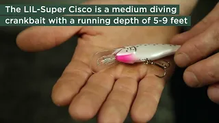 Lil Super Cisco Crankbait by Vexan Fishing