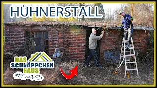ALTER HÜHNERSTALL - Wiederaufbau oder Abriss? | SCHNÄPPCHENHAUS #48 | Home Build Solution