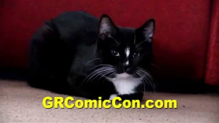 Doug Walker's New Cat (Chaplain) - Nostalgia Critic Clip