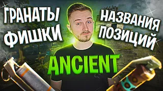 ANCIENT: названия позиций и базовые гранаты. Гайд от Петрика