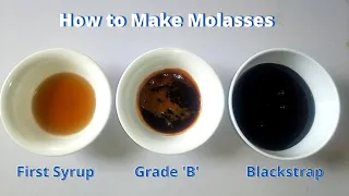 How to Make Molasses at Home - 3 homemade grades of molasses