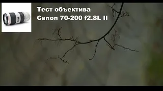 Тест объектива Canon 70-200 f2.8L II + Speedbooster + BMPCC4K + ND 64 (после монтажа)