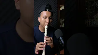 Day 1 Practice Flute Recorder Beatbox