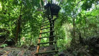 Solo Bushcraft: Build a 10m high Bushcraft house on a tree. Survival in nature - P.2