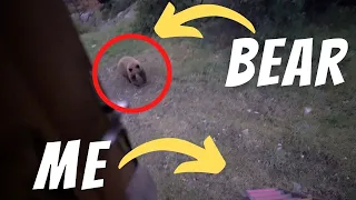 This Bear Scared the Crap Out Of Me Running Out from Under My Camper...