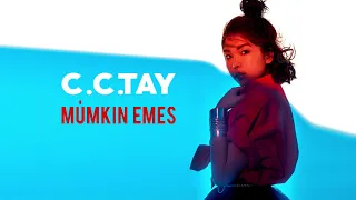 C.C.TAY - Мүмкін емес (audio)