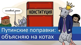 Путинские поправки: объясняю на котах | Коты Ходорковского