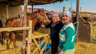 Узбекистан! КАЗАХСКИЙ аул! ЖИЗНЬ Пастуха в ПУСТЫНЕ! Рецепт настоящего БЕШБАРМАКА! Чабан!