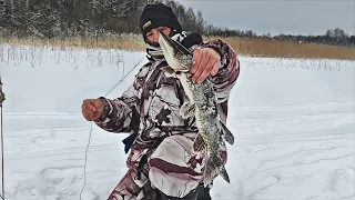 Ловля Щуки - зимой! Рыбалка в глухозимье, на самоловки!