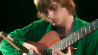 Mike Oldfield - Knebworth festival 1980 - Ommadawn - The Essential (720p)