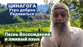 ЦИНАГОГА. Утро доброе. Радоваться! Псалом 119