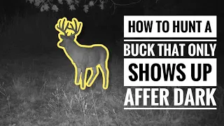 How to Hunt Bucks That Show Up After Dark