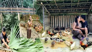 How to make a chicken coop without doors and airy space. Palm leaf roof || Buy hybrid chicken breeds