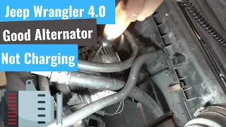 Jeep Wrangler 4.0 - Alternator Is Good But It Won't Charge?