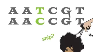 Genetics 101 (Part 2 of 5): What are SNPs?