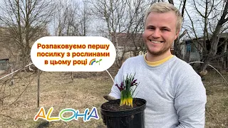 Перша розпаковка 2024. Нові рослини в нашому саду