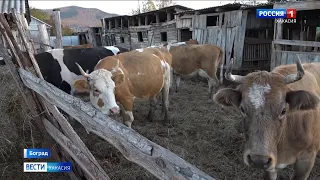 Владельцы нескольких подворий в Бограде отказываются отдавать скот