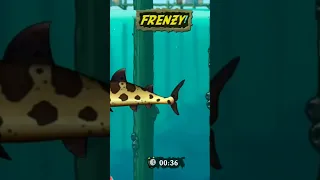 Shark almost ate me!! 🐆🦈