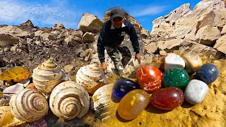 GOLD HUNTER - OMG day look The most expensive pearls shell -Gold on million years  watered rock