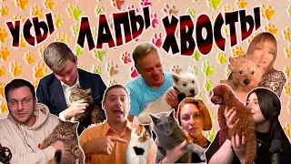 Усы, лапы и хвосты 🐶🐱