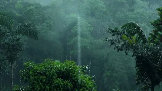 Uyumak veya Ders Çalışmak İçin Yağmur Ormanı Yağmur Sesleri - Beyaz Gürültü Doğa Sesleri 1 Saat