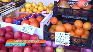 Цитрусові у Тернополі подешевшали, мандарини - майже вдвічі