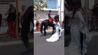 Feria de Abril;Arrecife (Lanzarote) exhibición ecuestre con baile.