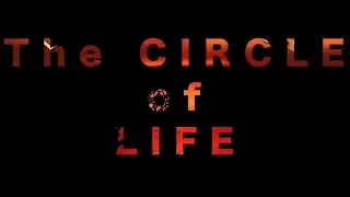 Circle of Life - Lion King Cover (Power Metal Version) (Lyric Video)