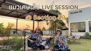 แมวเศษเล็บ (Live Session) @ Section59 (Home Cafe)