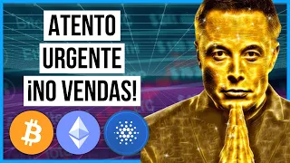 ✅ ESTA CRIPTOMONEDA SE VA A LA LUNA 😱 Noticias Criptomonedas HOY Cardano | Bitcoin | Ethereum | XRP