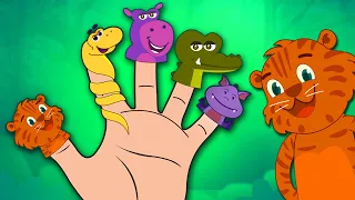 Wild Animal Jungle Finger Family + Finger Family Songs For Kids | HooplaKidz BabySitter