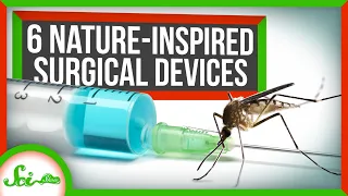 6 Surgical Devices Inspired by Nature
