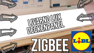 LIDL LIVARNO LUX Wand- und Deckenpanel » Zigbee Smart Home « mit Fernbedienung