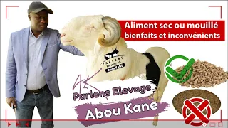 Abou Kane Aliment sec ou mouillé bien fait et inconvénients