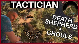 Baldur's Gate 3 - Tactician Difficulty - Death Shepherd and Ghouls - Rosymorn Monastery Trail map