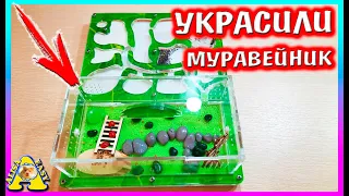 Украшаем МУРАВЕЙНИК / Новый дом для муравьев / Уборка Формикария /  Алиса Изи Петс / Alisa Easy Pets