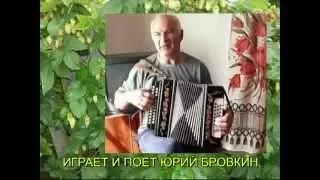 Чайхана _поет гармонист Юрий Бровкин