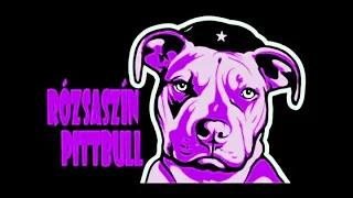 Rózsaszín Pitbull - Nem szopnak a ministránsok (nightcore)