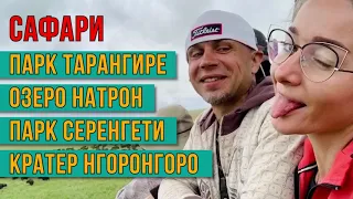 Сафари парки Танзании 🌴 Тарангире,  Нгоронгоро,  Серенгети и озеро Натрон