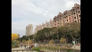 花開了快來 | 高雄河堤公園 | 高雄景點