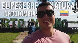 🐆 PUERTO NARIÑO - AMAZONAS 🇨🇴 así es EL PESEBRE NATURAL DEL COLOMBIA