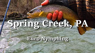 Spring Creek  PA  Euro Nymphing