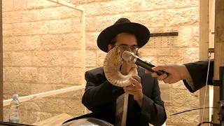 Shofar blowing, slichot at the Western Wall