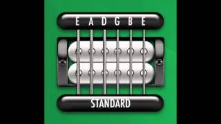 Perfect Guitar Tuner (E Standard = E A D G B E / QUICK VERSION)